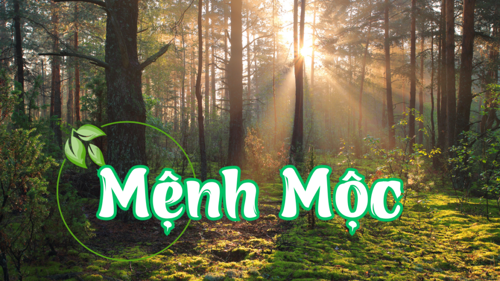 Galaxy Office 5 1024x576