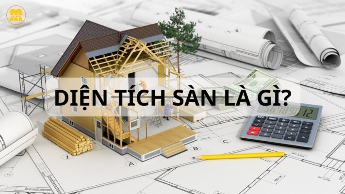 dien tich san la gi 2
