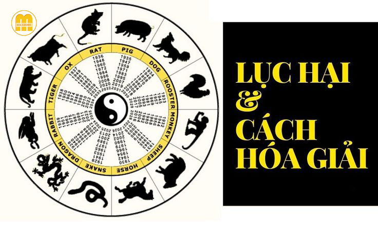 luc hai la gi 1