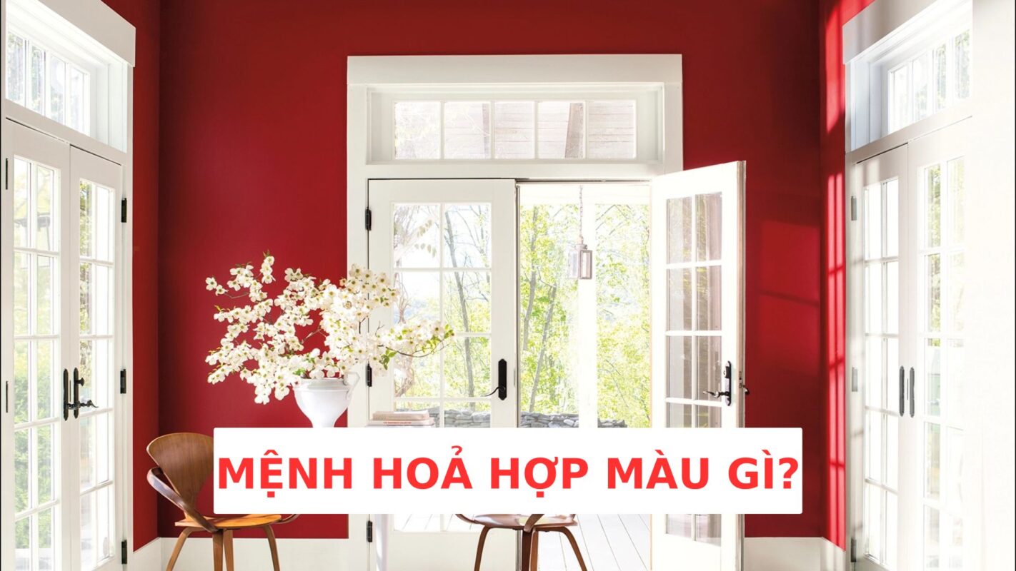 menh hoa hop mau gi 5