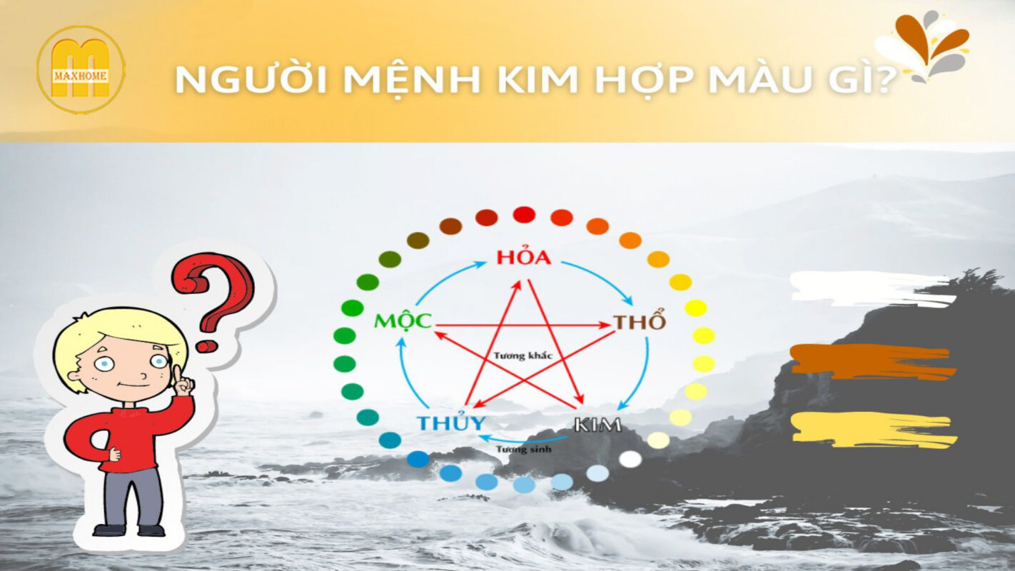 menh kim hop mau gi 8