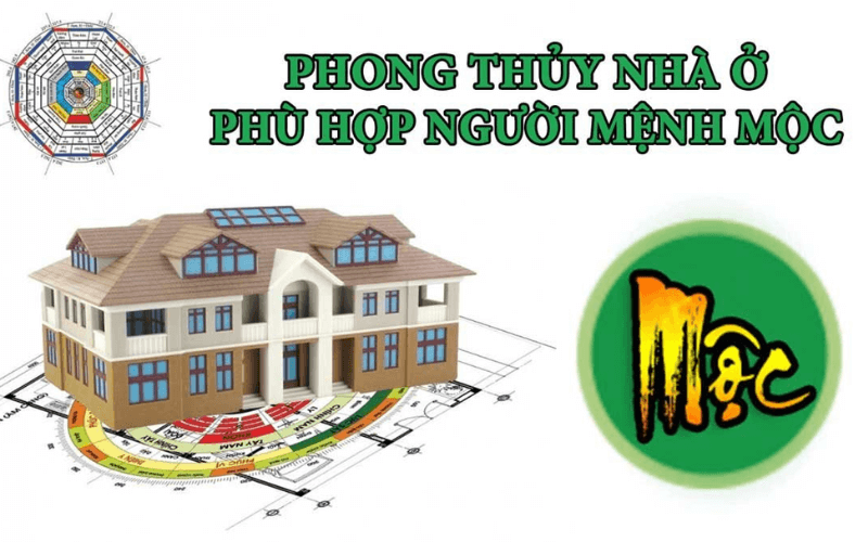 menh moc hop huong nao 1