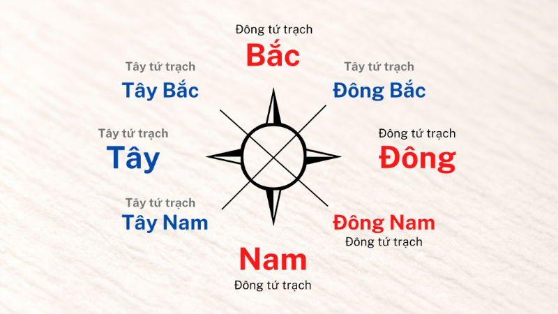 tay tu trach