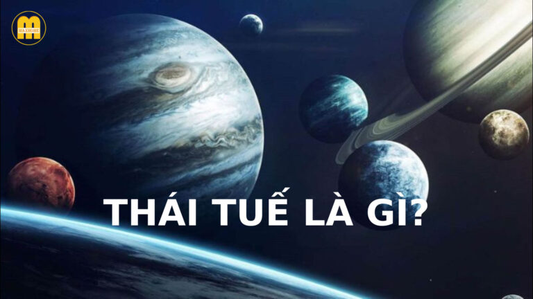 thai tue la gi.