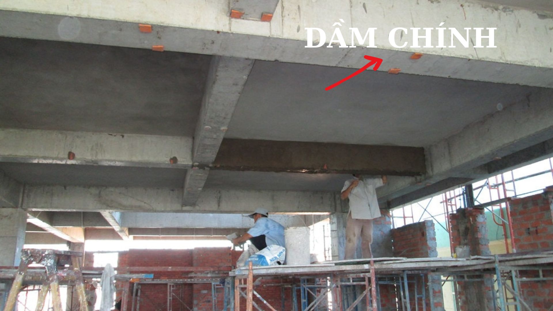 DAM CHINH