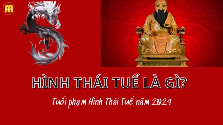 hinh thai tue la gi