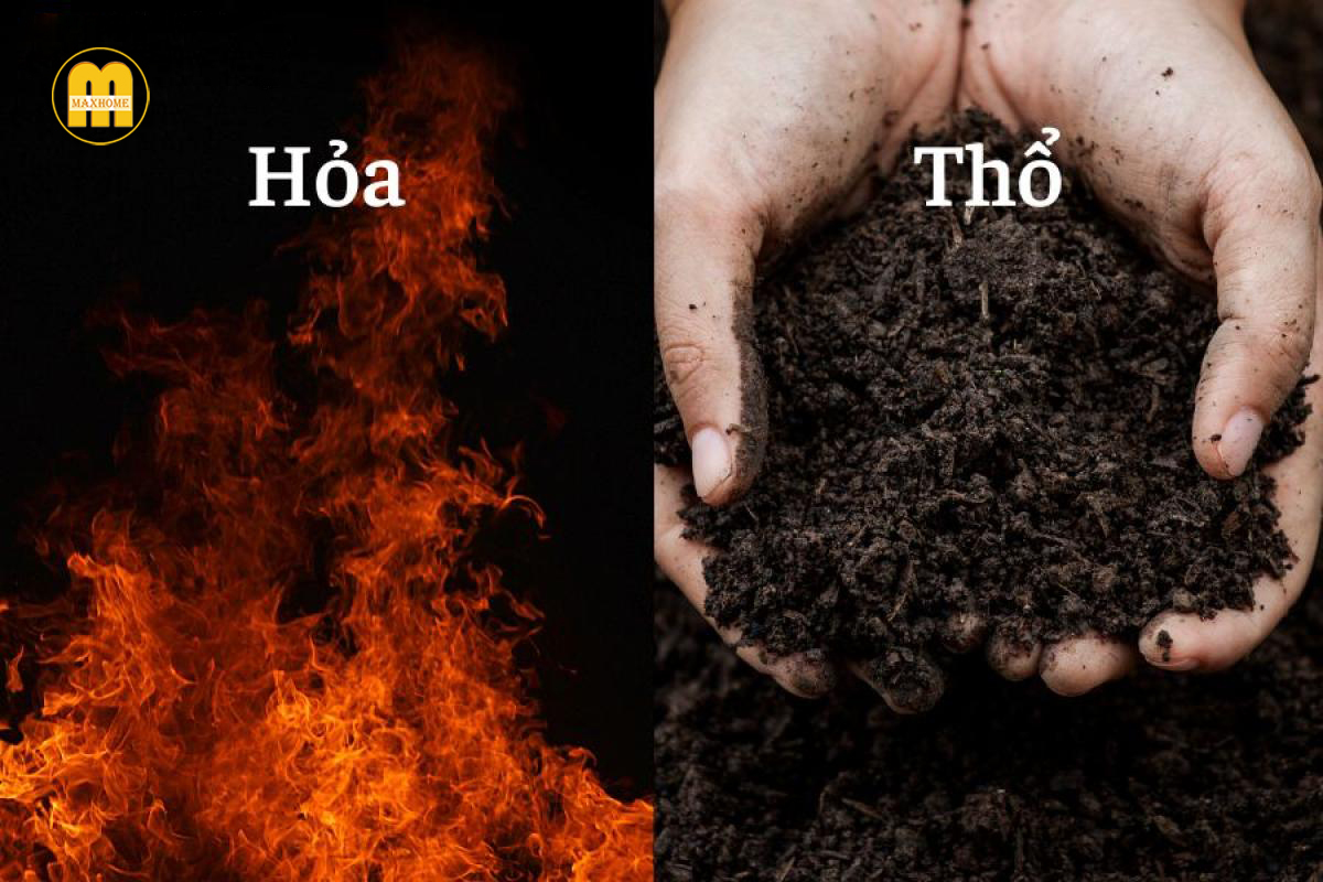 hoa sinh tho 0